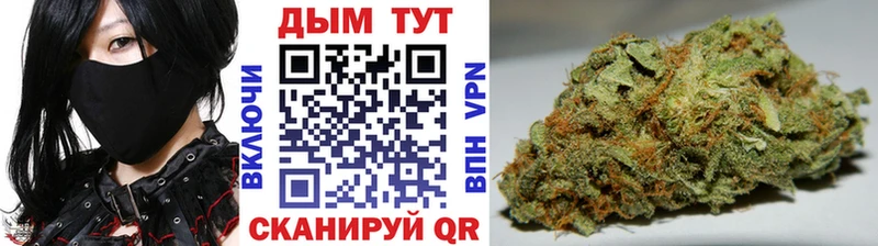 Конопля марихуана Серафимович